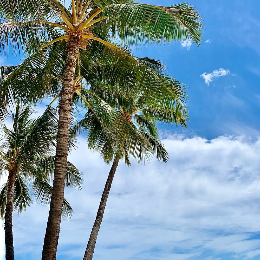 REASONABLE Offers WELCOME🥰